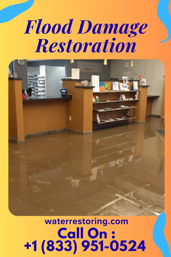 Flood Damage Restoration in Elderon, WI