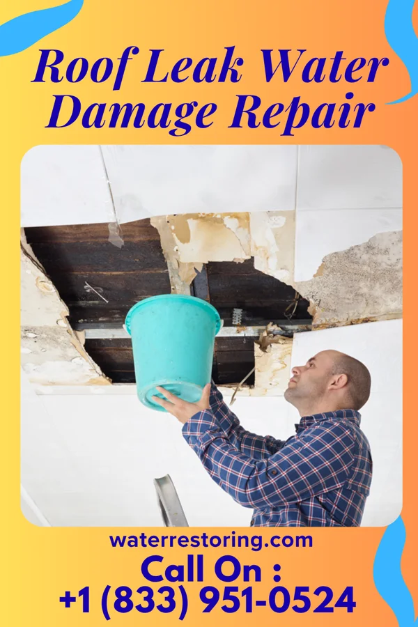 Roof Leak Water Damage Repair in Elderon, WI