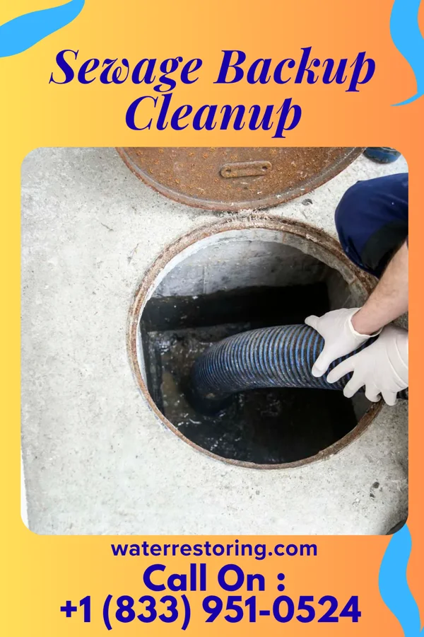 Sewage Backup Cleanup in Elderon, WI
