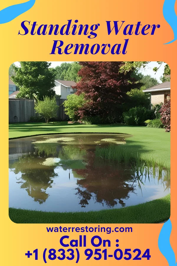 Standing Water Removal in Elderon, WI